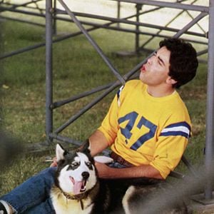 Fotoğraf Adam Arkin