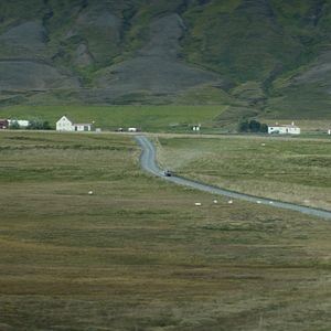 Fotoğraf İnatçılar