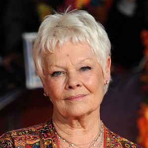 Fotoğraf Judi Dench