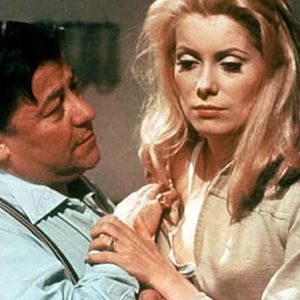 Fotoğraf Gündüz Güzeli