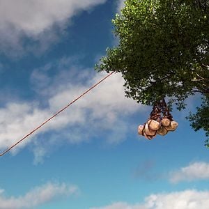 Fotoğraf İyi Bir Dinozor