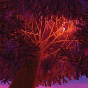 Fotoğraf O Menino e o Mundo