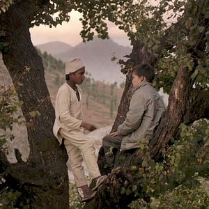 Fotoğraf Kara Tavuk