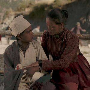 Fotoğraf Kara Tavuk