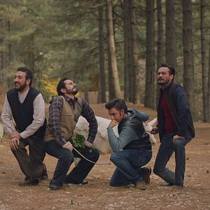 Fotoğraf Yeşil Deniz