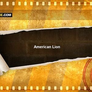 Fotoğraf American Lion
