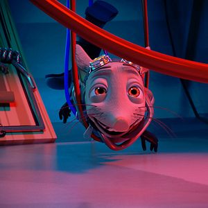 Fotoğraf Get Squirrely