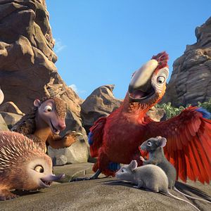 Fotoğraf Robinson Crusoe