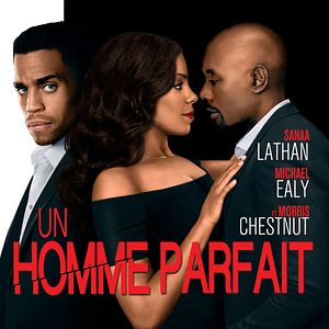 Fotoğraf The Perfect Guy