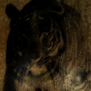 Fotoğraf Köpeğin Kalbi