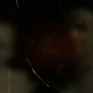 Fotoğraf Köpeğin Kalbi