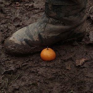 Fotoğraf Mandalinalar