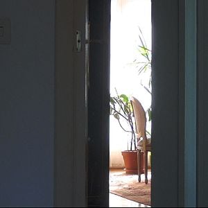 Fotoğraf No Home Movie