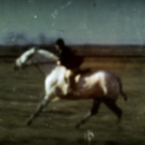 Fotoğraf Köpeğin Kalbi