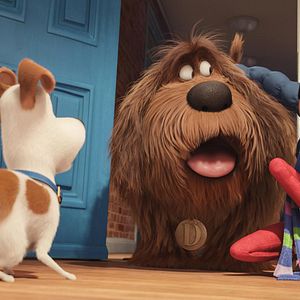 Fotoğraf Evcil Hayvanların Gizli Yaşamı