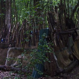 Fotoğraf Le Bois dont les rêves sont faits