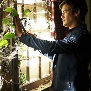 Fotoğraf Tyler Blackburn