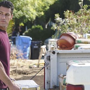 Fotoğraf Brandon Quinn