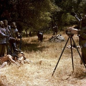 Fotoğraf Maymunlar Cehennemi