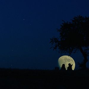Fotoğraf Yitik Kuşlar