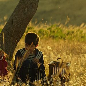 Fotoğraf Yitik Kuşlar