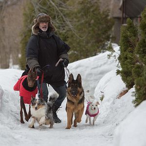 Fotoğraf Thierry Lhermitte