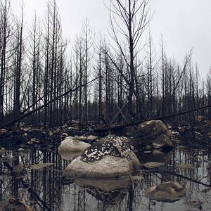 Fotoğraf Jordskött