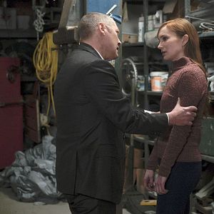 Fotoğraf Lotte Verbeek