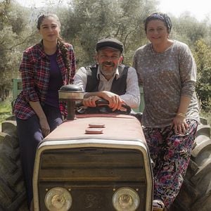 Fotoğraf Yeşil Deniz