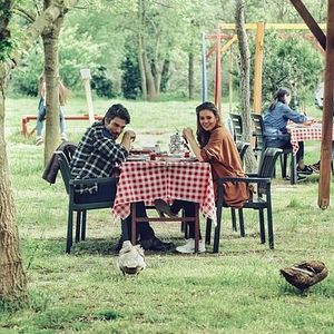 Fotoğraf Kış Güneşi