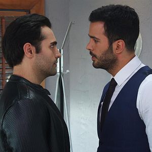 Fotoğraf Kiralık Aşk