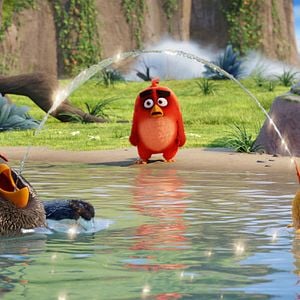 Fotoğraf The Angry Birds Movie