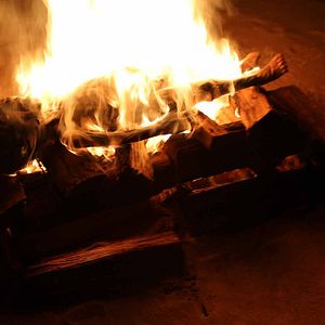 Fotoğraf The Taking