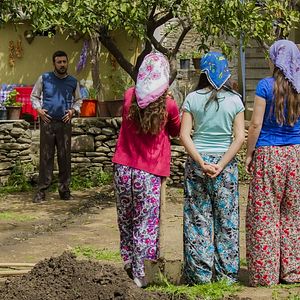 Fotoğraf Yeşil Deniz