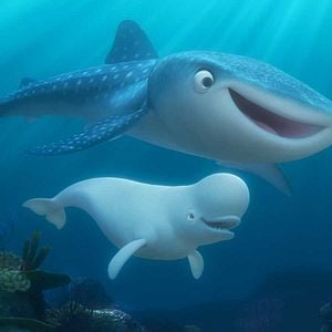 Fotoğraf Kayıp Balık Dori