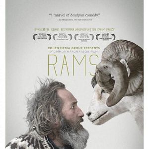 Fotoğraf İnatçılar