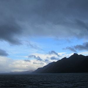 Fotoğraf The Pearl Button