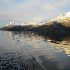 Fotoğraf The Pearl Button