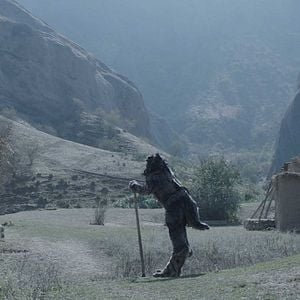 Fotoğraf Kurtla Kuzu