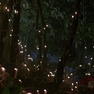 Fotoğraf The Serpent and the Rainbow