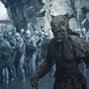 Fotoğraf Djimon Hounsou