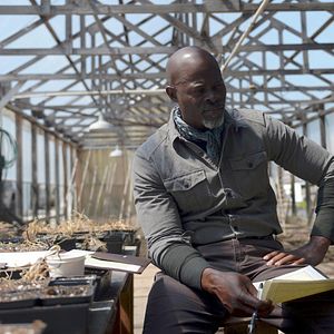 Fotoğraf Djimon Hounsou