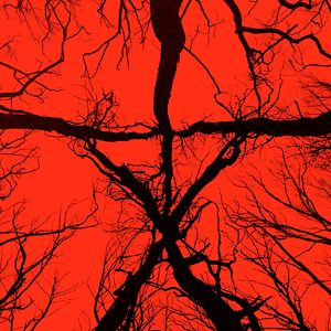 Fotoğraf Blair Cadısı