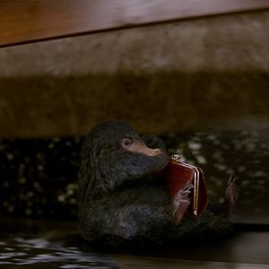 Fotoğraf Fantastik Canavarlar Nelerdir, Nerede Bulunurlar?