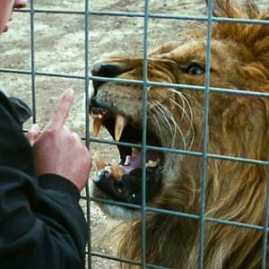 Fotoğraf Bay Kâinat