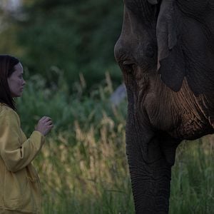 Fotoğraf Olivia Wilde