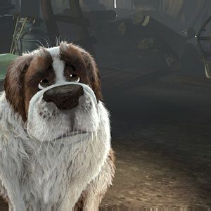 Fotoğraf Kartopu Savaşları!