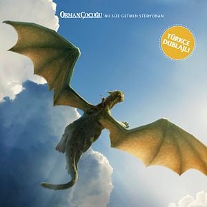 Fotoğraf Pete ve Ejderhası