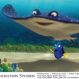 Fotoğraf Kayıp Balık Dori