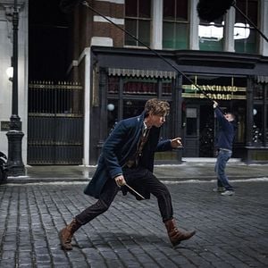 Fotoğraf Eddie Redmayne